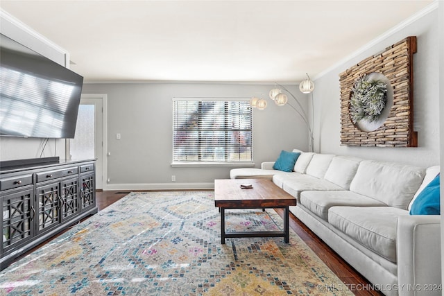 living room with crown molding and dark hardwood / wood-style flooring