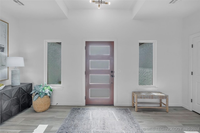 foyer entrance featuring a wealth of natural light and light hardwood / wood-style flooring