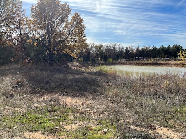 view of local wilderness