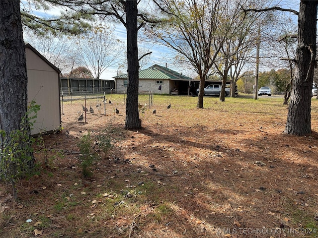 view of yard with a storage unit