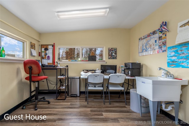 office with plenty of natural light and dark wood-type flooring