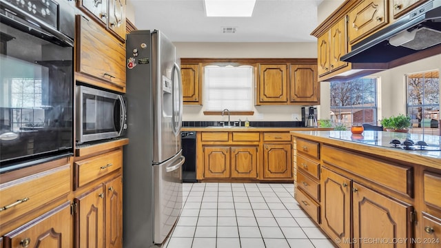 kitchen with sink, a skylight, a wealth of natural light, and black appliances