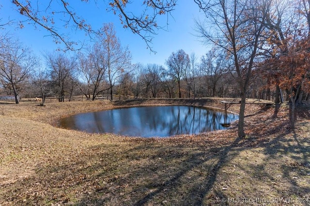 view of water feature