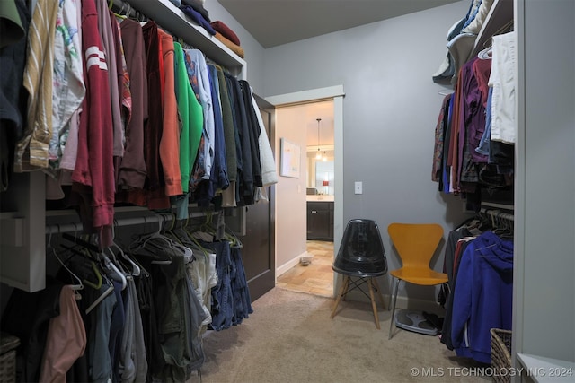 spacious closet featuring light colored carpet