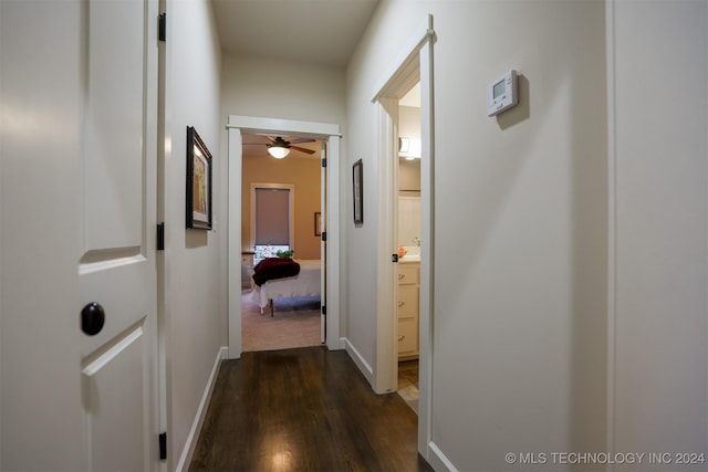 hall with dark hardwood / wood-style flooring