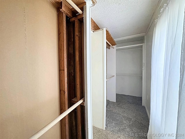 walk in closet with carpet floors