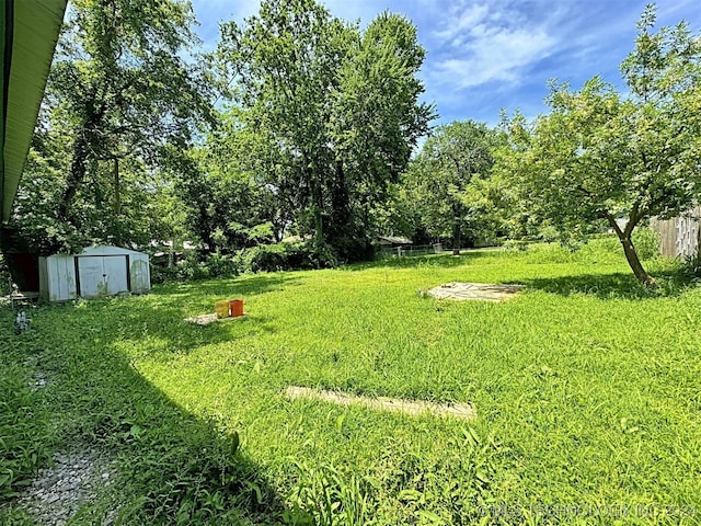 view of yard featuring a storage shed