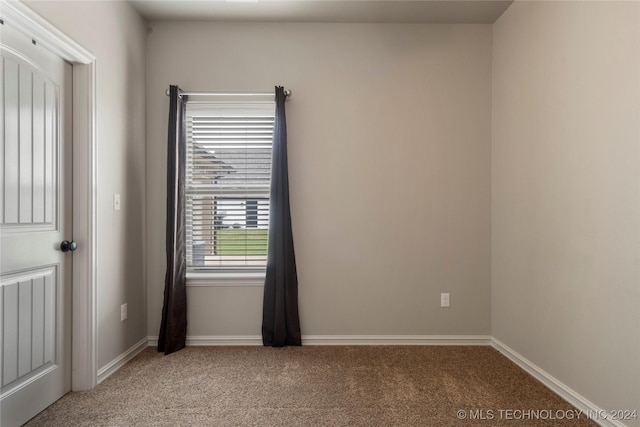 spare room featuring light carpet