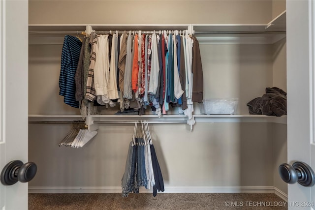 walk in closet featuring carpet flooring