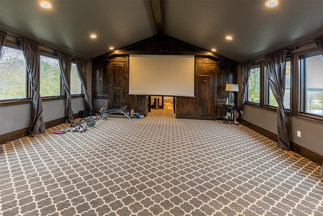 cinema room featuring a healthy amount of sunlight and carpet floors