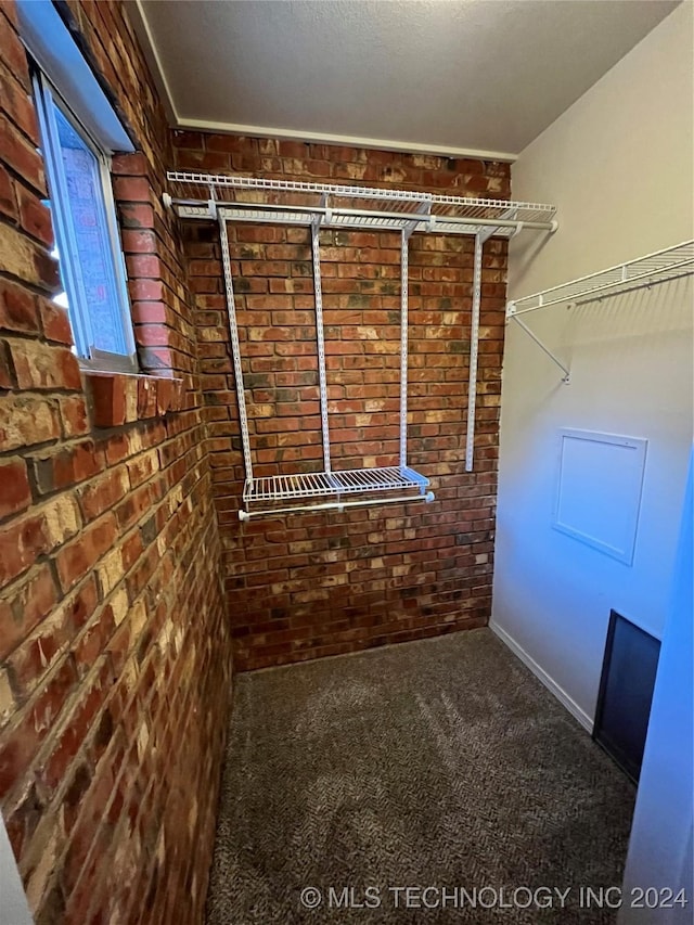 spacious closet with carpet floors