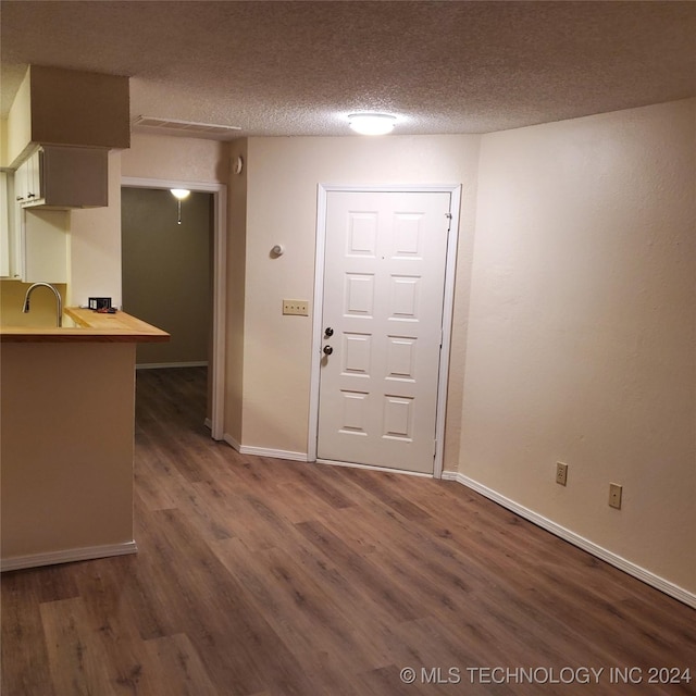 entryway with a textured ceiling, sink, and dark wood-type flooring