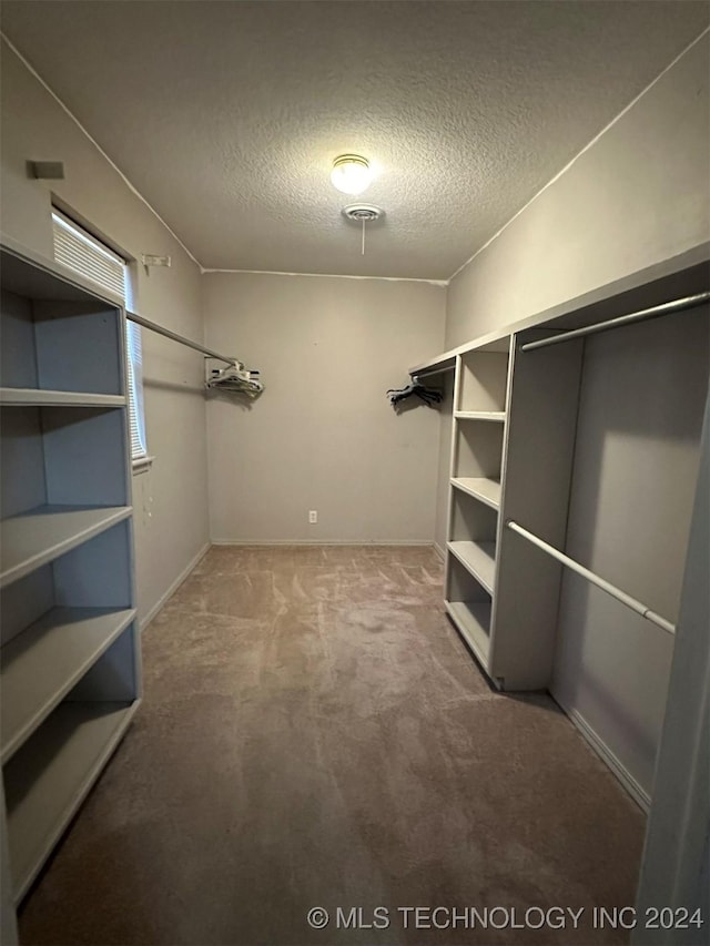 spacious closet with carpet