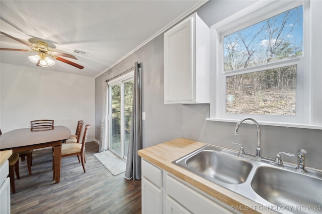 kitchen featuring dark hardwood / wood-style flooring, white cabinetry, plenty of natural light, and sink