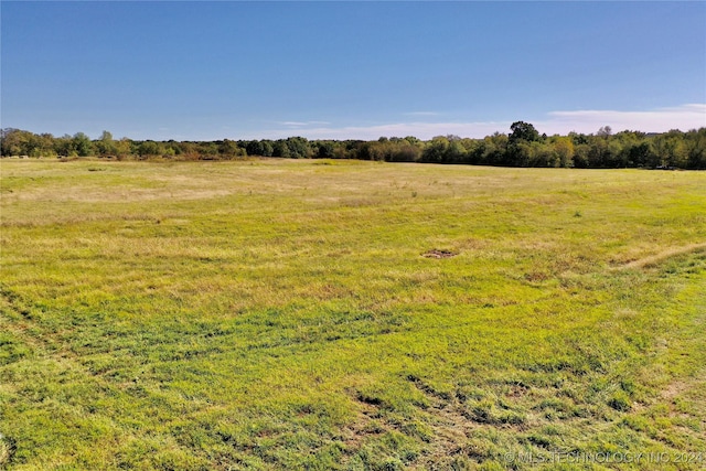 view of local wilderness featuring a rural view