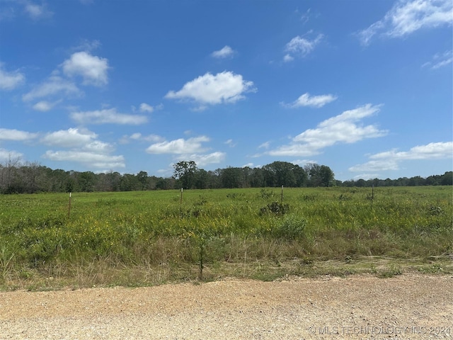 view of nature featuring a rural view