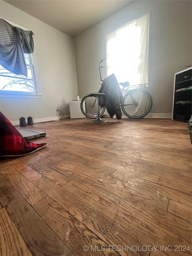 interior space with wood-type flooring