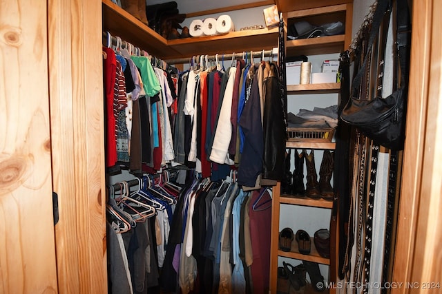 view of walk in closet