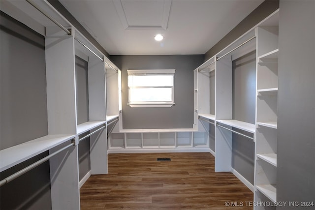 spacious closet with dark wood-type flooring