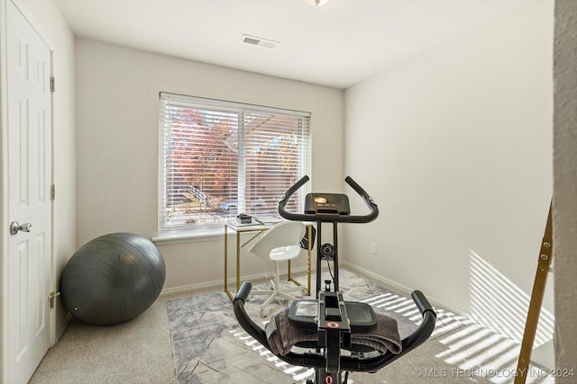 exercise room featuring light colored carpet