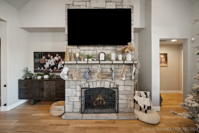 living room featuring a stone fireplace and wood-type flooring