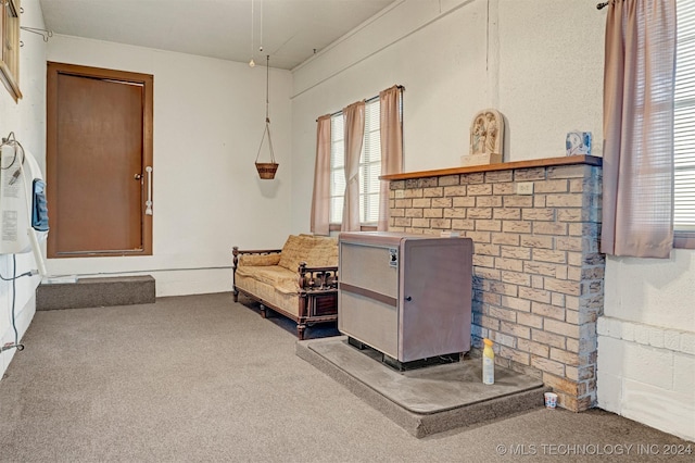 living area featuring carpet flooring and a wood stove