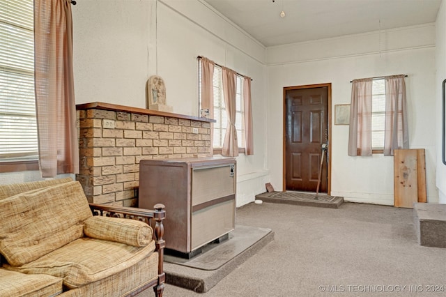 sitting room with carpet flooring and plenty of natural light