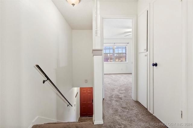 stairway featuring carpet flooring and a textured ceiling