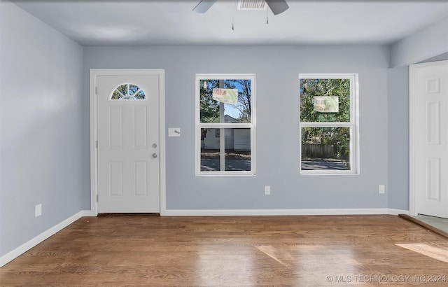 entrance foyer featuring wood-type flooring, a wealth of natural light, and ceiling fan