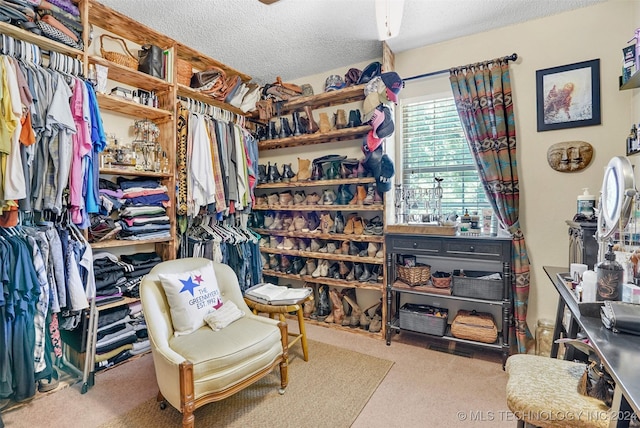 walk in closet featuring carpet flooring