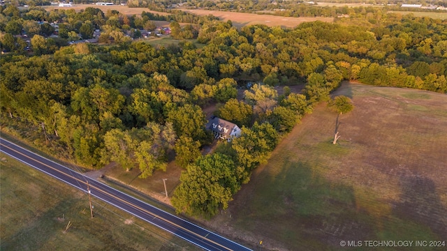 bird's eye view