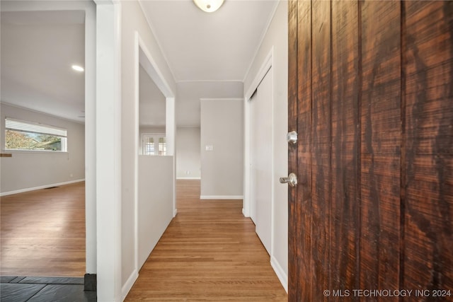 hallway featuring wood-type flooring