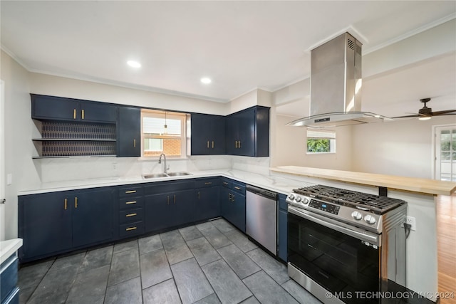 kitchen with ventilation hood, sink, blue cabinets, and stainless steel appliances