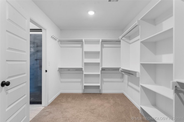 walk in closet with light carpet