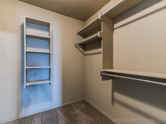 spacious closet featuring carpet flooring