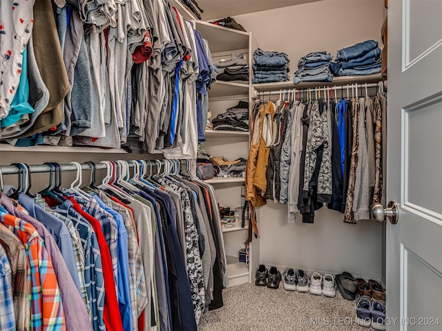 spacious closet featuring carpet floors