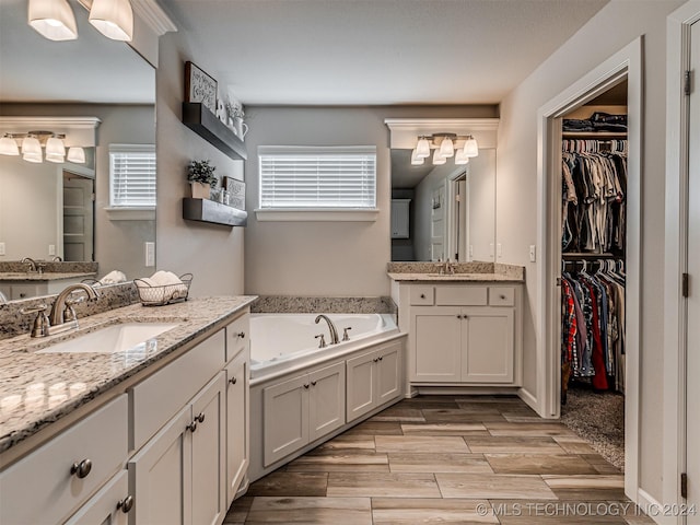 bathroom featuring a bathing tub, plenty of natural light, and vanity