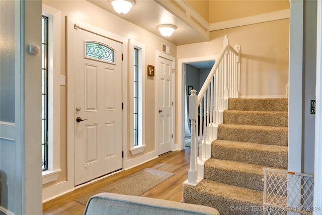 foyer featuring plenty of natural light and wood-type flooring