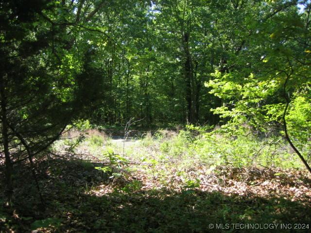 20 W Arrow Wood Rd, Cookson OK, 74427 land for sale