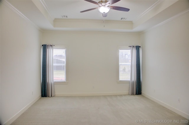 empty room featuring light colored carpet, a raised ceiling, and a wealth of natural light