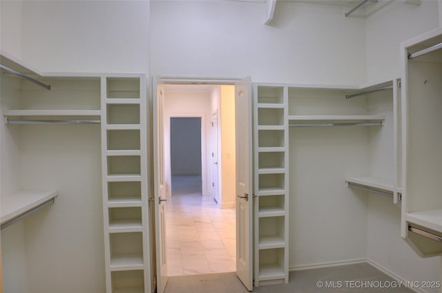 view of spacious closet