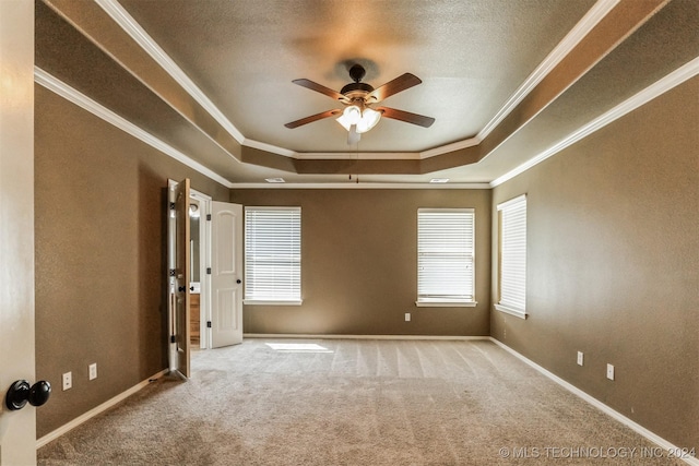 unfurnished room with a tray ceiling, a wealth of natural light, and ornamental molding