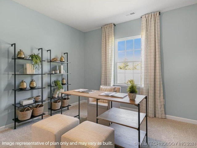 view of carpeted home office