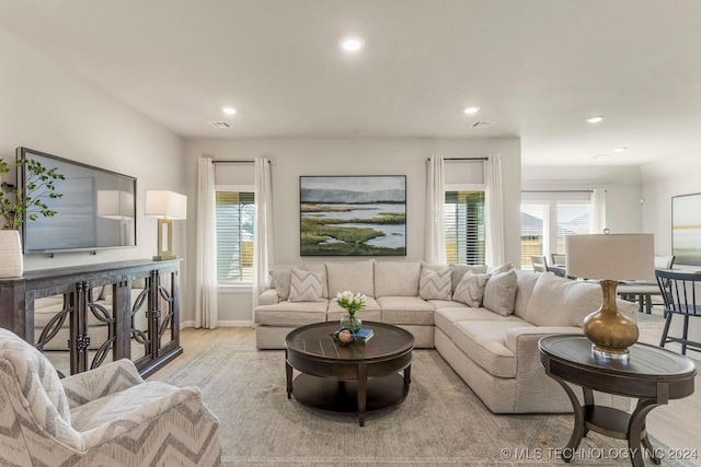 living room featuring light hardwood / wood-style flooring