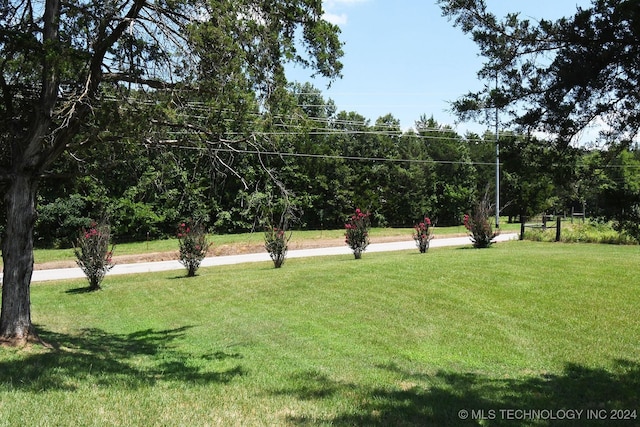 view of property's community with a yard