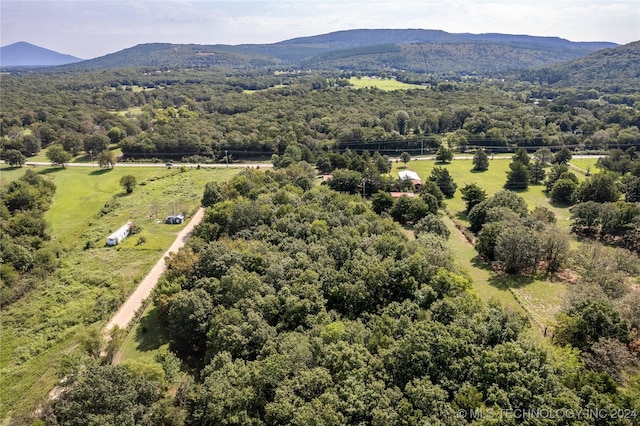 birds eye view of property featuring a mountain view