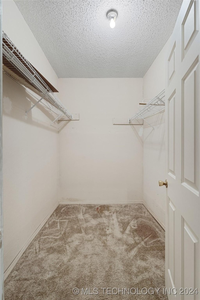 walk in closet with light colored carpet