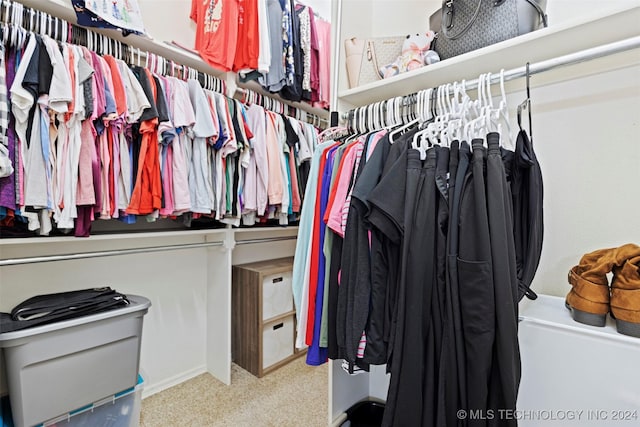 spacious closet featuring light carpet