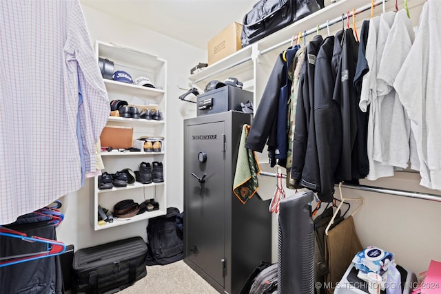 spacious closet with carpet flooring