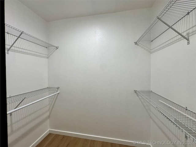 spacious closet with dark hardwood / wood-style floors